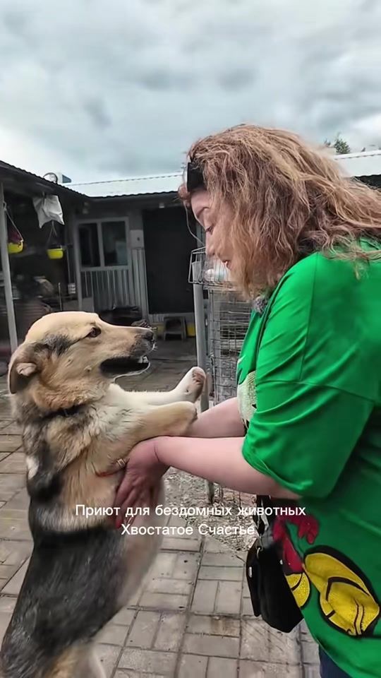TikTok video thumbnail by caudatehappiness