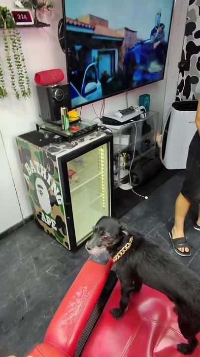 TikTok video thumbnail by tabiedss
