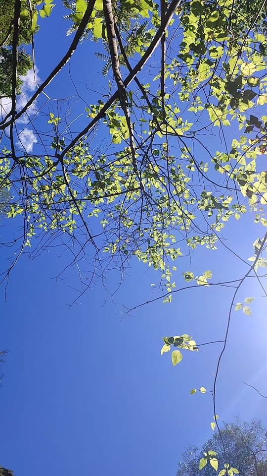 TikTok video thumbnail by explorando_ando.r