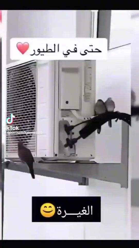 TikTok video thumbnail by foufa__gharbii