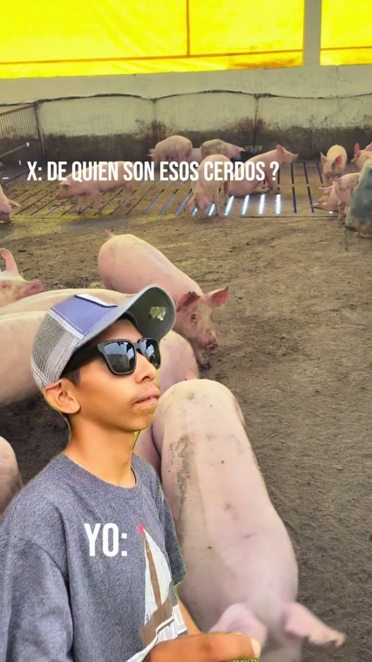 TikTok video thumbnail by granja.rz