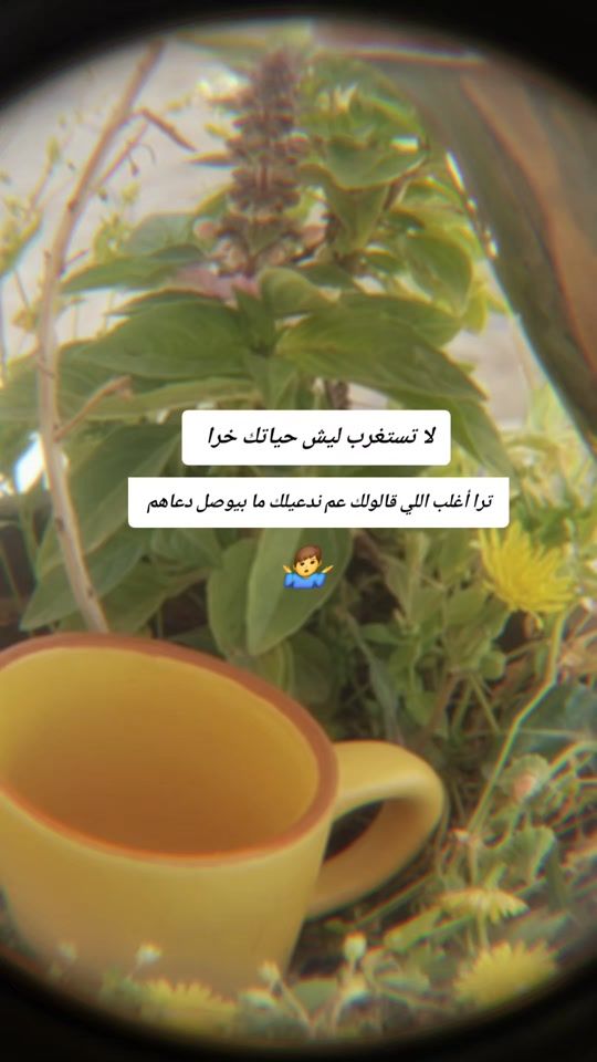 TikTok video thumbnail by .anwar.nour