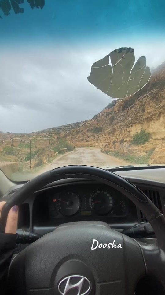 TikTok video thumbnail by dododoosha0