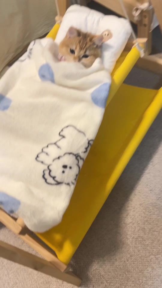 TikTok video thumbnail by miao.mi6