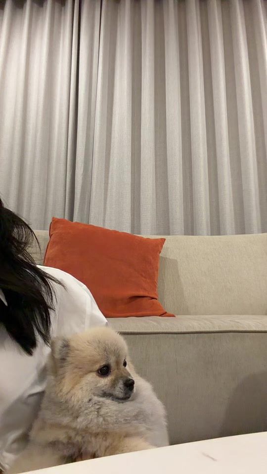 TikTok video thumbnail by goyyogarach
