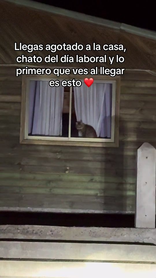 TikTok video thumbnail by chescopilo