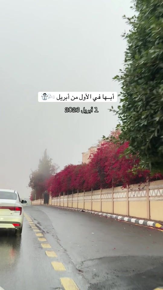 TikTok video thumbnail by dliliy8