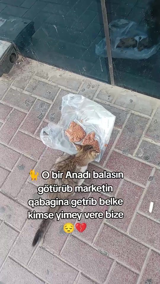 TikTok video thumbnail by onlarindostu