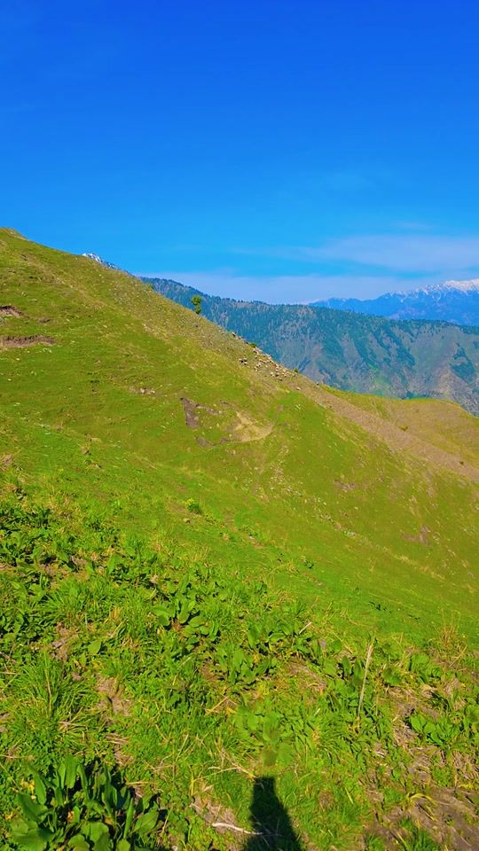 TikTok video thumbnail by ziaullah_dir