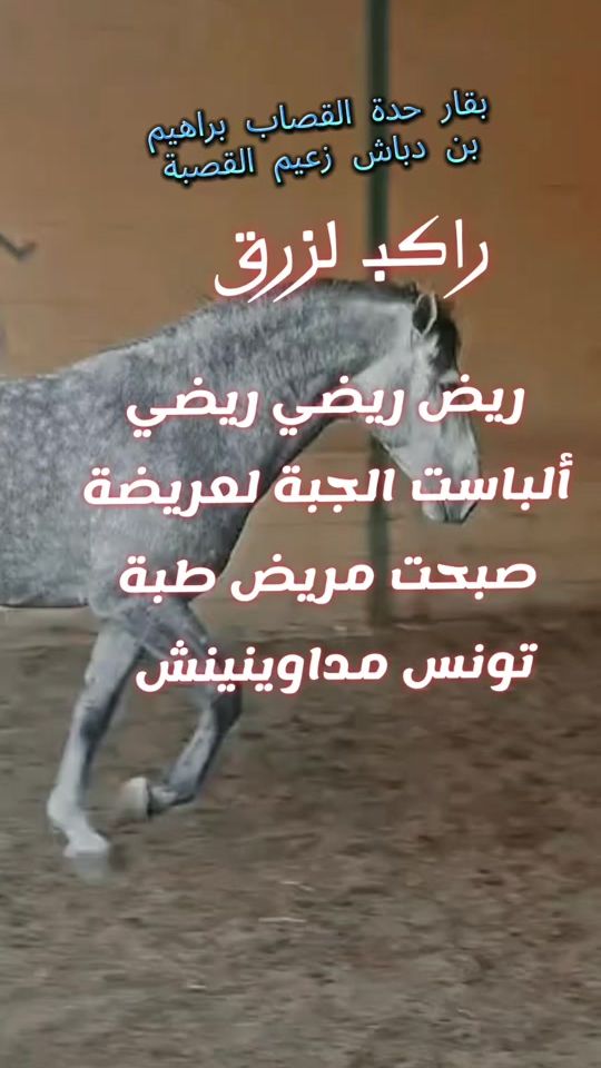 TikTok video thumbnail by elkhderr