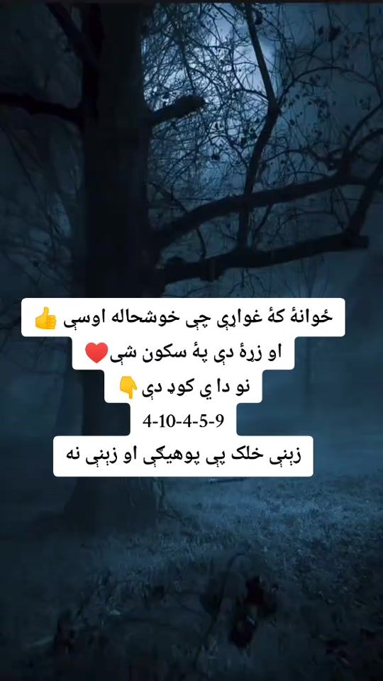 TikTok video thumbnail by alon_22