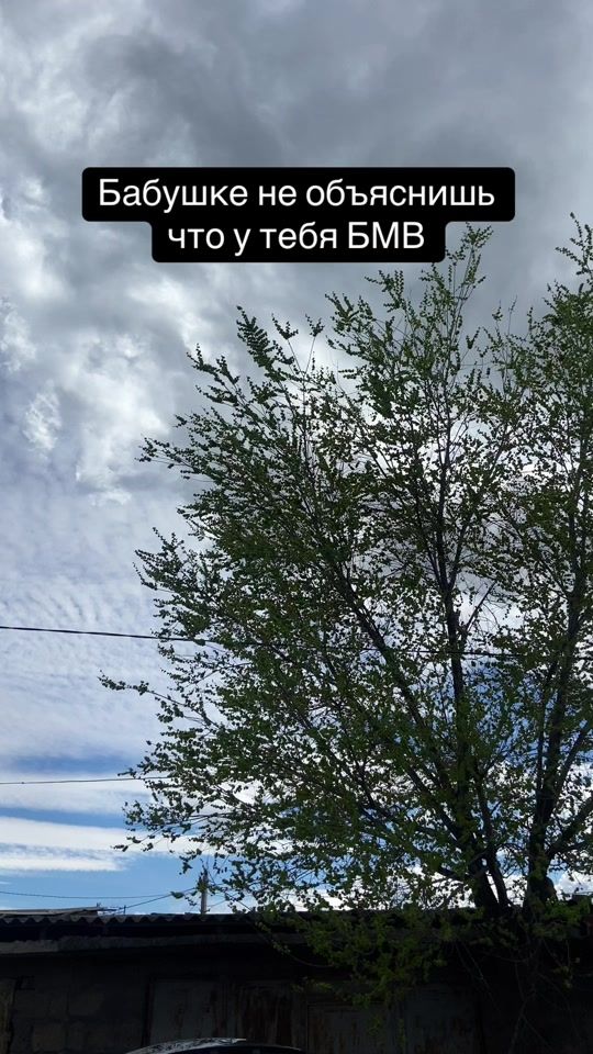TikTok video thumbnail by antemlll