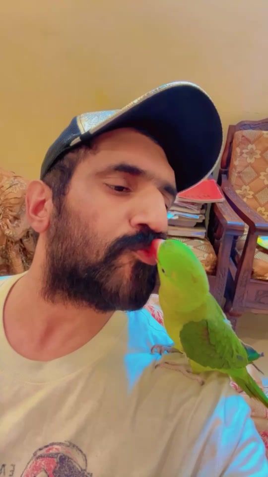 TikTok video thumbnail by lovelyqaiser786