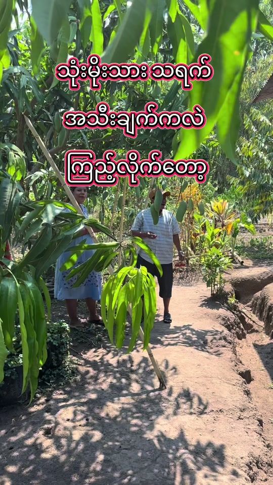 TikTok video thumbnail by thar.gyi.lay