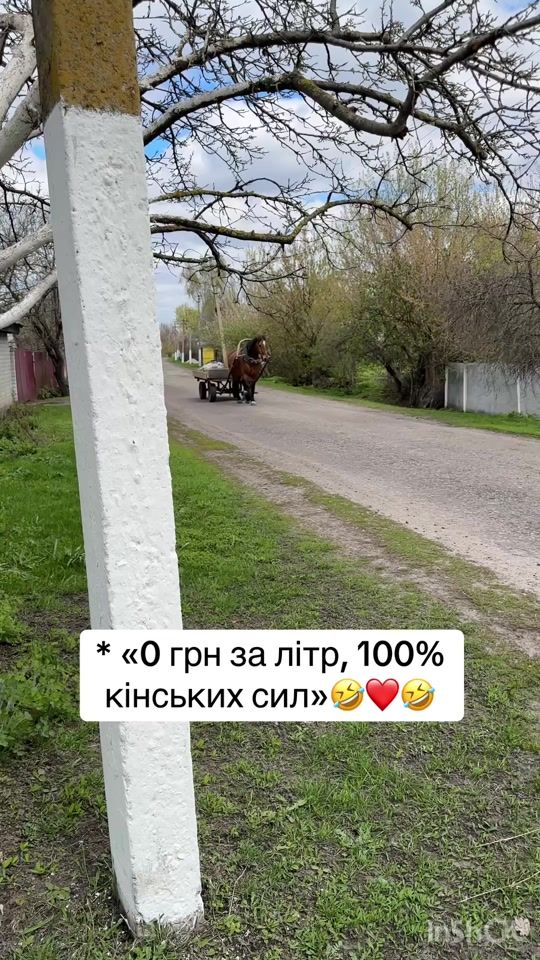 TikTok video thumbnail by viktoriamaykovska