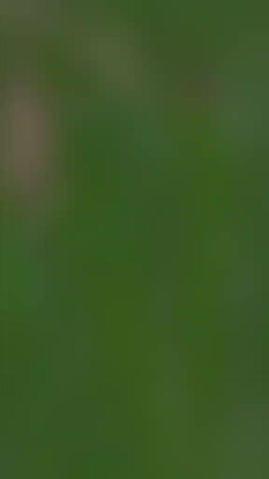 TikTok video thumbnail by ferdouskhanjoy