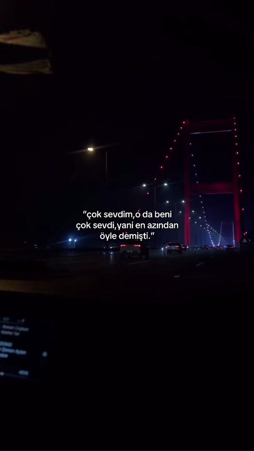 TikTok video thumbnail by usermis0123