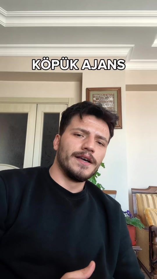 TikTok video thumbnail by _canalf