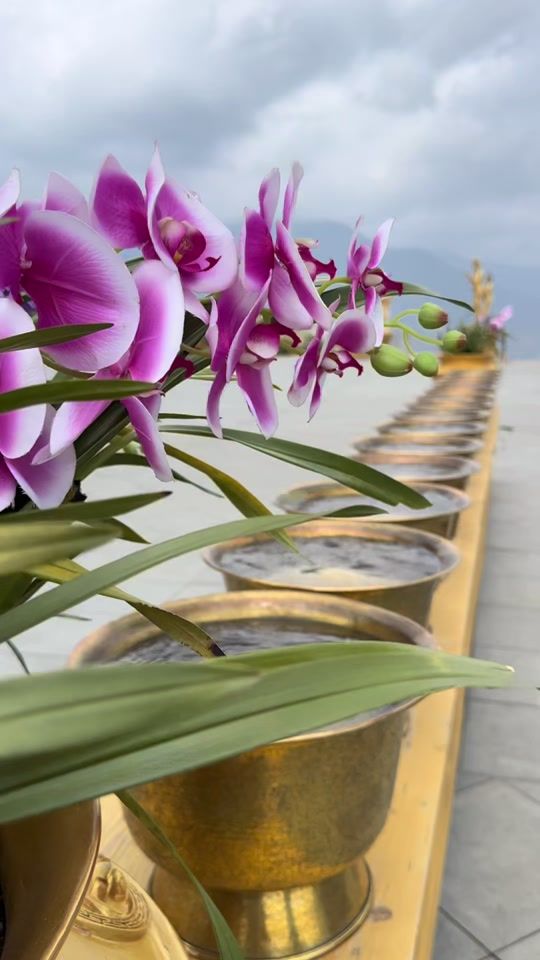 TikTok video thumbnail by trongsarkayta