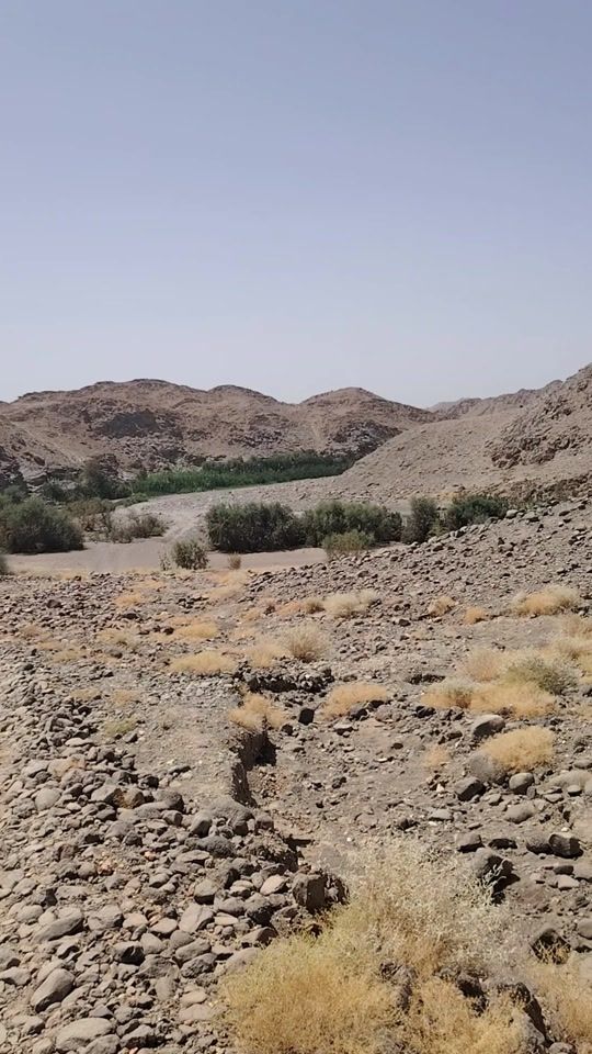 TikTok video thumbnail by user25004790665293