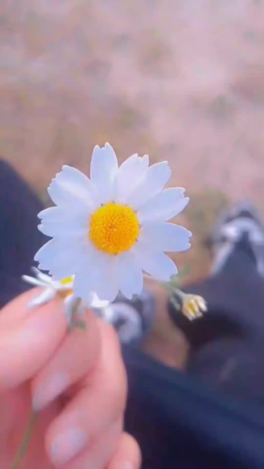 TikTok video thumbnail by eman.khttab2