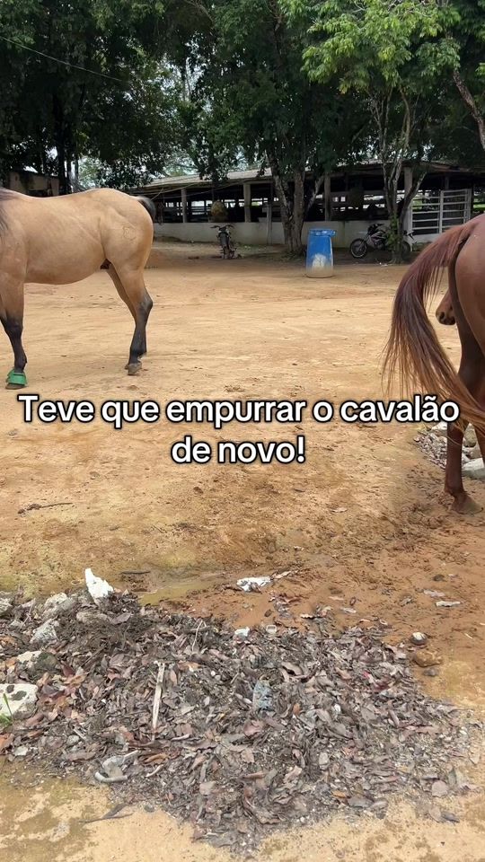 TikTok video thumbnail by espanta.ranch