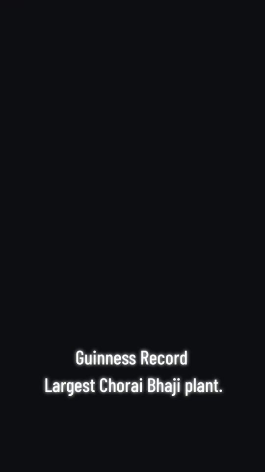TikTok video thumbnail by ricardo.goolchara