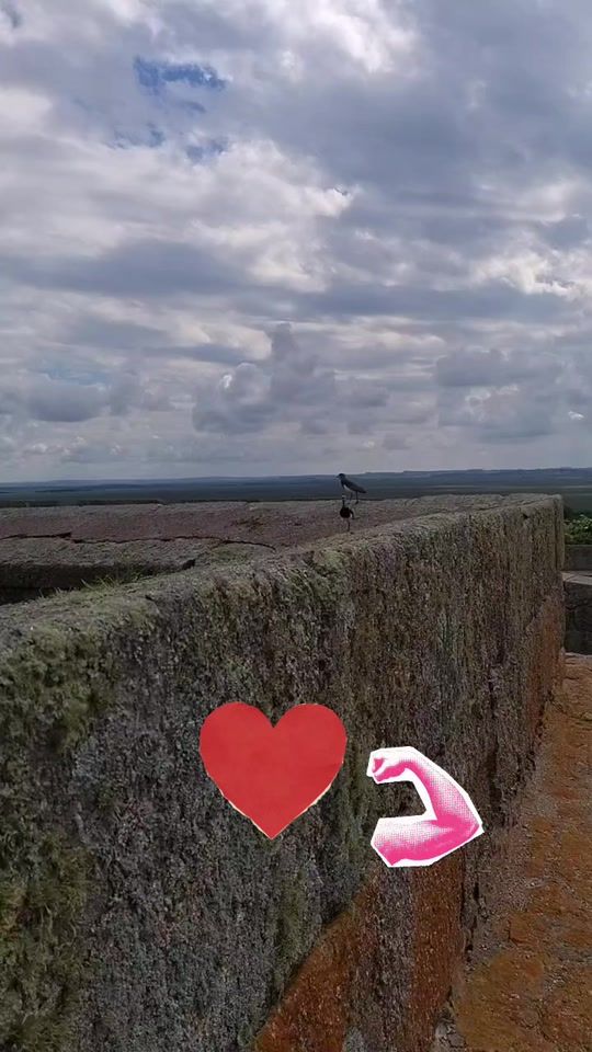 TikTok video thumbnail by delbia1