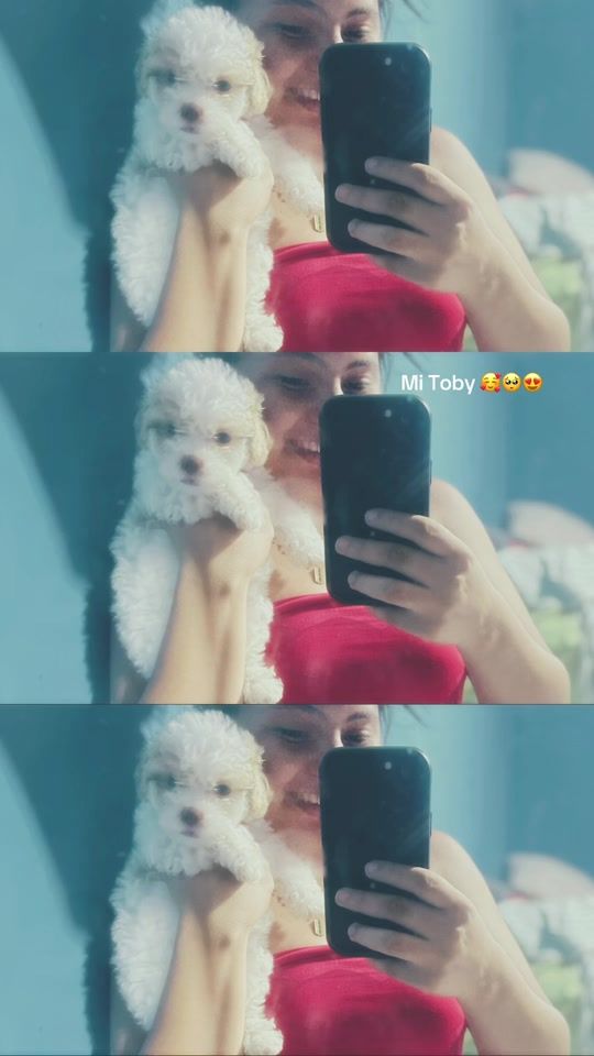TikTok video thumbnail by dayanalicon