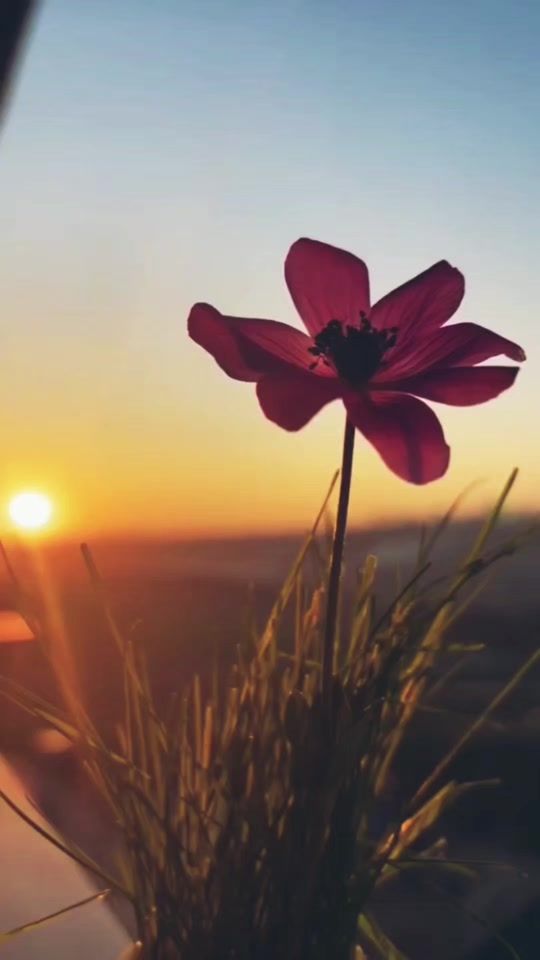 TikTok video thumbnail by mohammed_almansor7