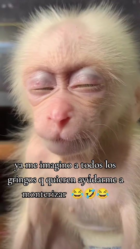TikTok video thumbnail by roxyfuentes_oficial