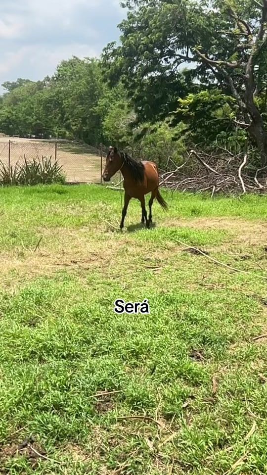 TikTok video thumbnail by rigoberto.ramirez46