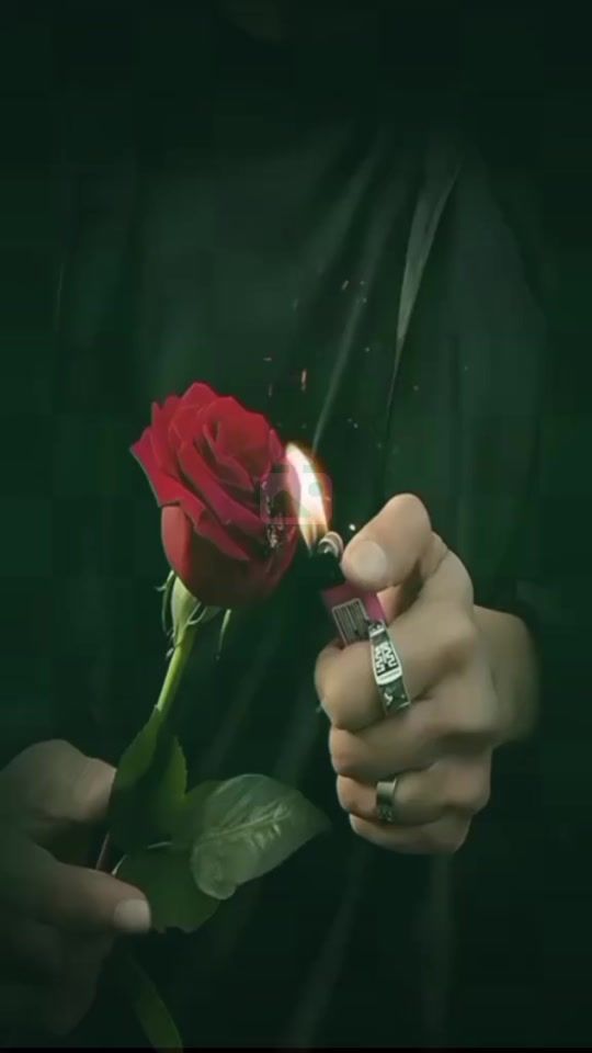 TikTok video thumbnail by edae4646eda
