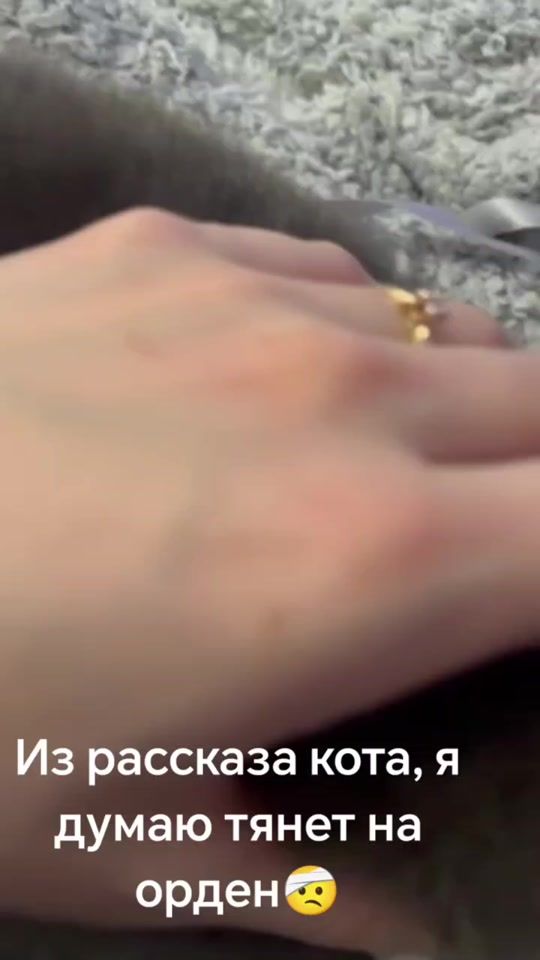 TikTok video thumbnail by usow_mihail