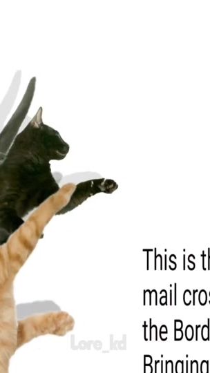 TikTok video thumbnail by lore_kd