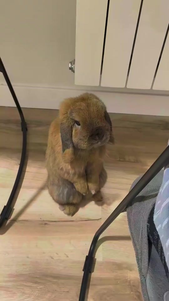 TikTok video thumbnail by amary.0