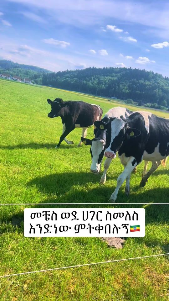 TikTok video thumbnail by du_duu6