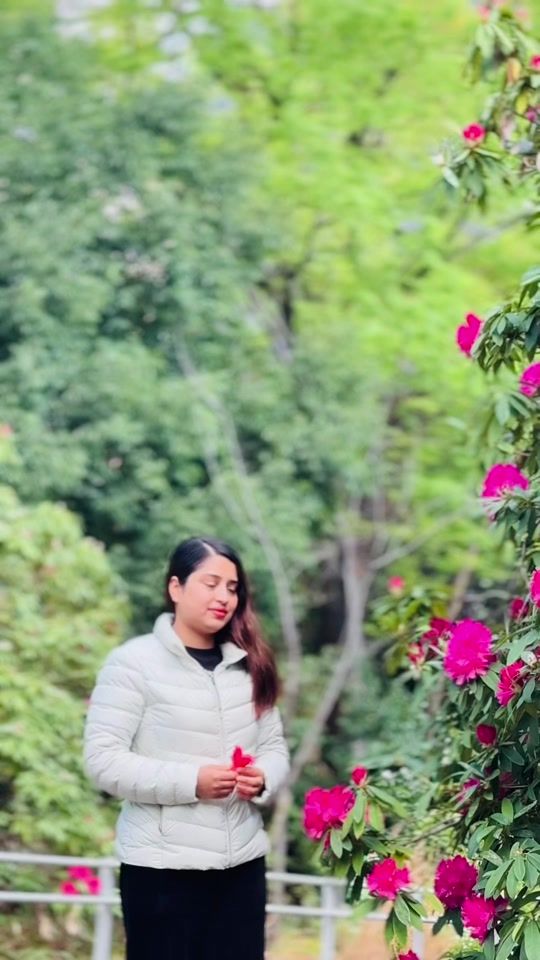 TikTok video thumbnail by rupaneupane36