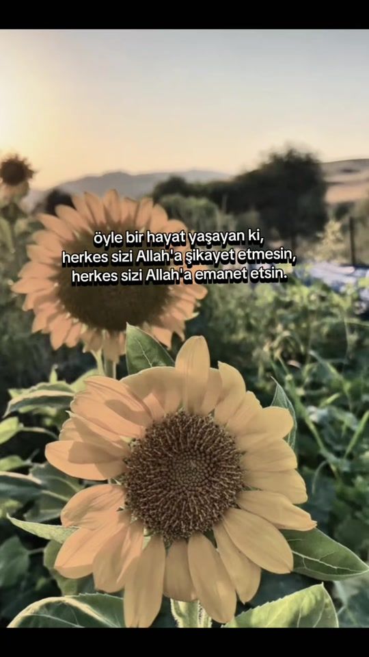 TikTok video thumbnail by gunes.altun