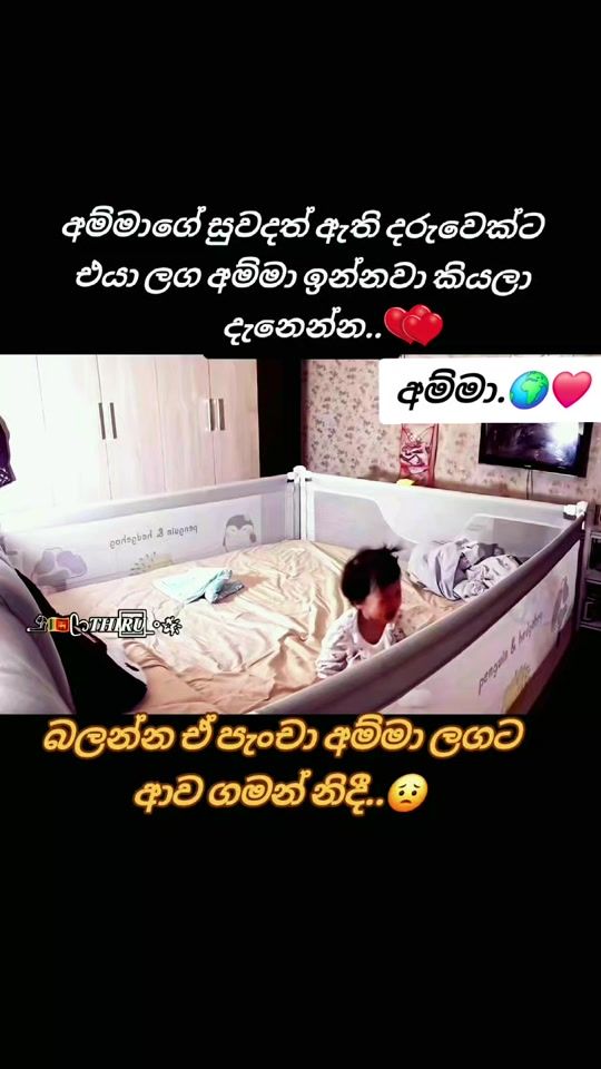 TikTok video thumbnail by thihara677