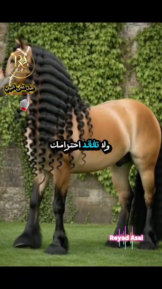 TikTok video thumbnail by resala.g
