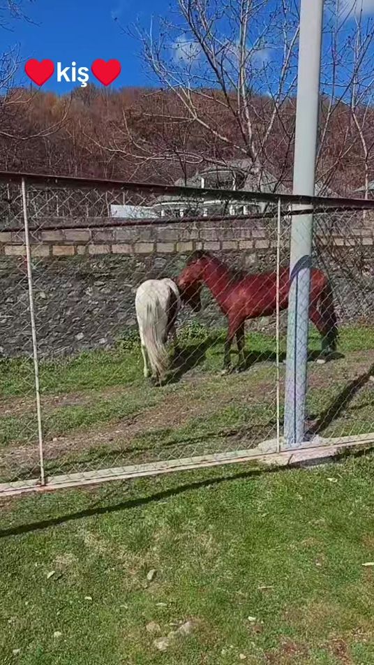 TikTok video thumbnail by menim_nefesim_555