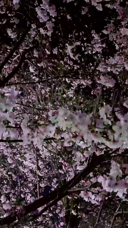 TikTok video thumbnail by haruna.0001