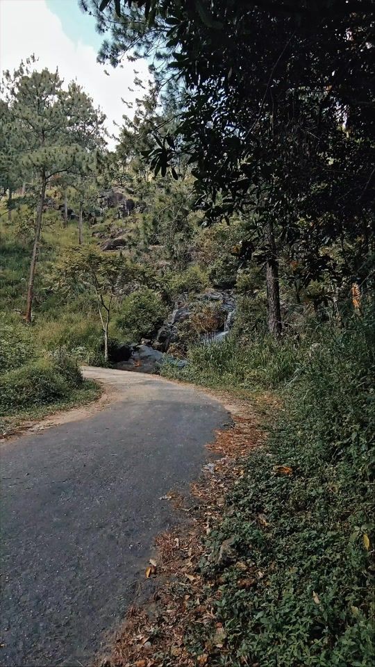 TikTok video thumbnail by yasithasudesh