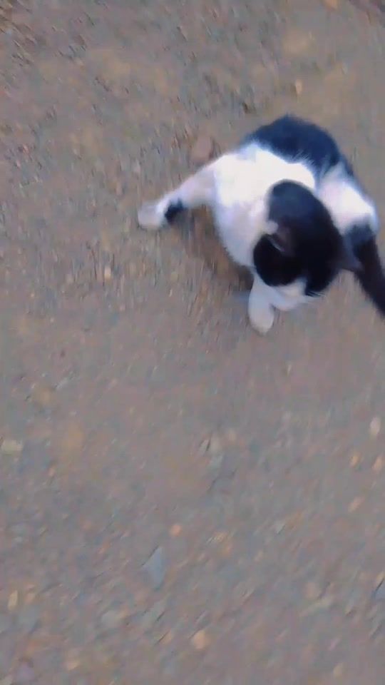 TikTok video thumbnail by midianvalda