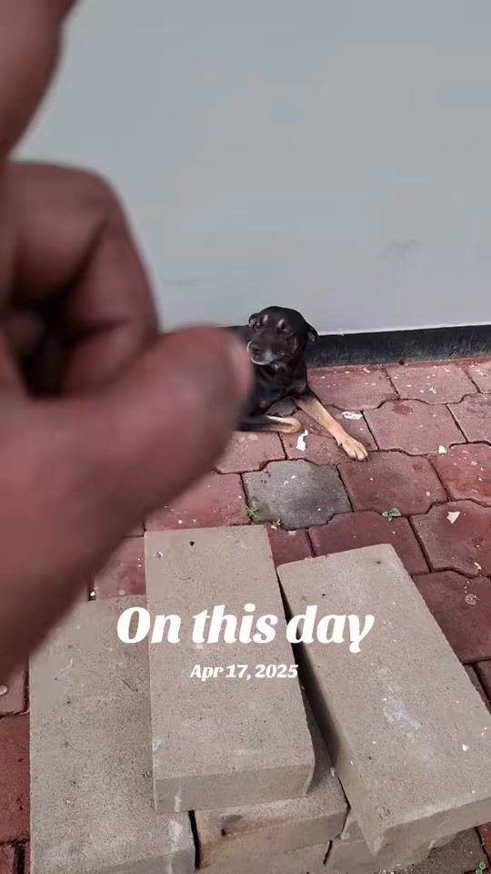 TikTok video thumbnail by _aniel_jipat_