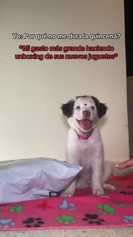 TikTok video thumbnail by nosoynaooo