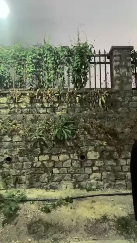 TikTok video thumbnail by peley36