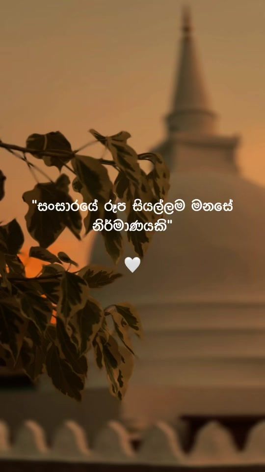 TikTok video thumbnail by poojapitiyeanuruddhather