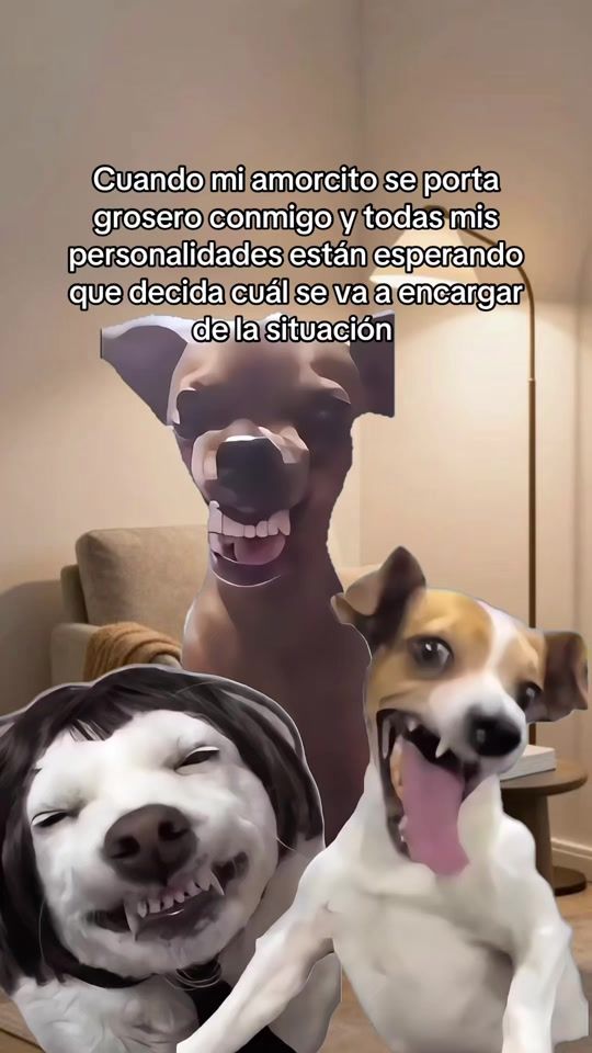 TikTok video thumbnail by camu.alave